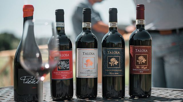 Dégustation de vins et visite à la Fattoria Della Talosa