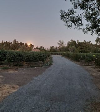 Casa Mesa Bozzolo Winery