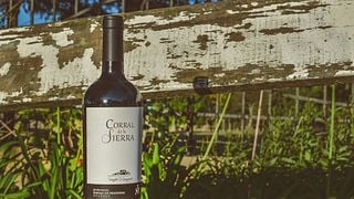 Cata y tour de vinos en Barras de Mahoma