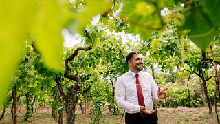 Cata de vinos y almuerzo
