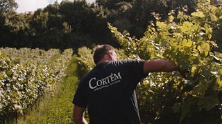 Vinhos Cortém : visite du vignoble et dégustation de 6 vins avec collations