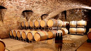 Dégustation de vins et visite au Weingut Alte Grafschaft