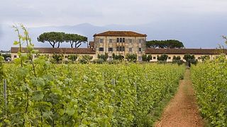 Casale Del Giglio Società Agricola