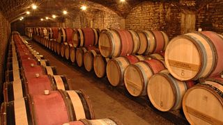 Terroir vinprovning på Domaine Henri de Villamont