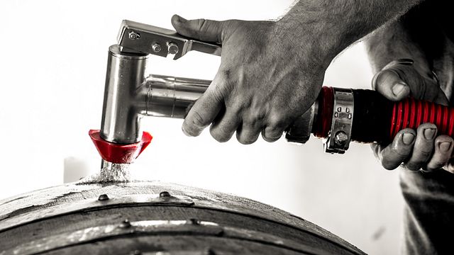 Visita y degustación de 3 champanes
