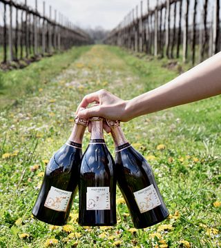 Degustazione di vini e tour a La Jara