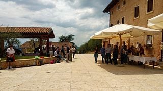 Degustação de vinhos e tour em Boscaini Carlo