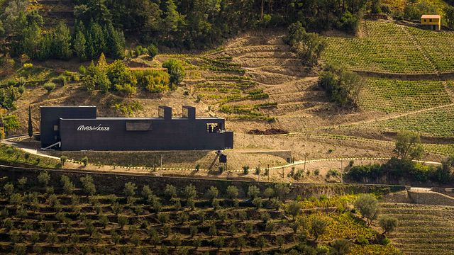Dégustation de vins et visite à Alves De Sousa Quinta Da Gaivosa