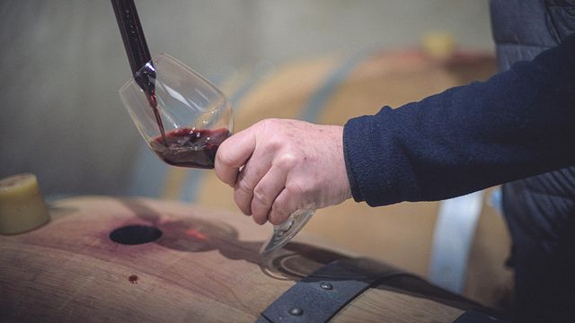 Bordeaux Barrel to Bottle: A Winemaker's Journey
