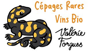 Degustación de variedades de uva raras y venerables de turena | Domaine de la Méchinière