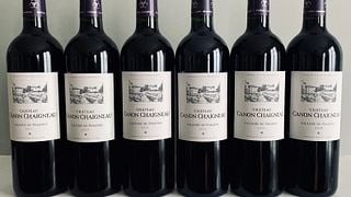 Bordeaux Wine Tasting & Chateau Tour at Canon Chaigneau