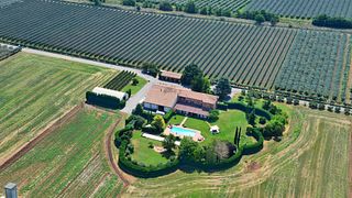 Ancilla - Azienda Agricola La Ghidina