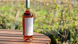 Wine tasting outdoor or in cellar depending on the climate. Chianti Classico, Super-Tuscan and Rosè experience