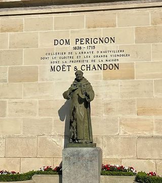 Da Parigi: Esperienza Champagne: Visita alle cantine e degustazione a Epernay + Visita ai vigneti e degustazione ad Aÿ-Champagne - Escursione guidata individuale di un giorno