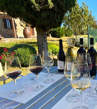 Sample 7 Tuscan Classics in One Tasting