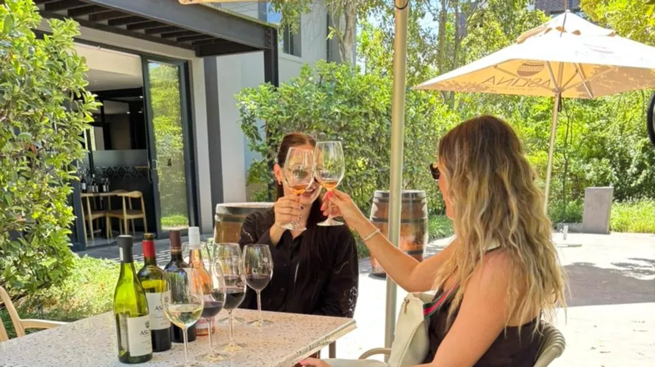 Aslina Wines Tasting Room