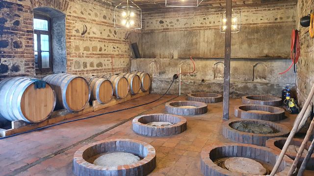 Auténtica cata de vinos georgianos y visita a la bodega