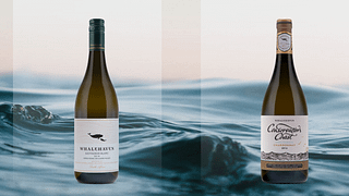 Weinverkostung für Weinpuristen bei Whalehaven Wines