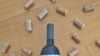 Unique Wine Tasting Experience in the Heart of Nature