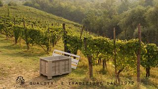 Cantine Campana: A Legacy of Italian Winemaking