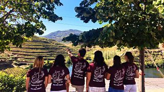 Historic Douro Wine Tour & Tasting at Quinta Do Tedo