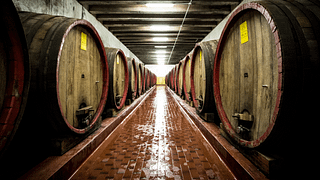 Tenuta Vignega