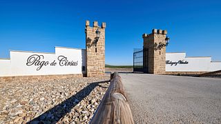 Bodega Pago De Cirsus