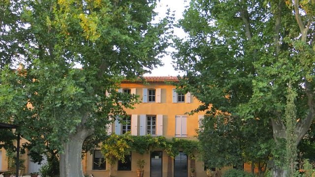 Domaine Mas De Lavail