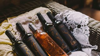 Vegansk vinprovning på Krolo Winery