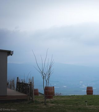 Gita di un giorno con degustazione di vini da Istanbul con un esperto di vini