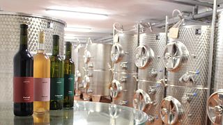 Dégustation de vins et visite de la cave Krmeš