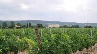 Degustação de vinhos e tour no Domaine du Clos d'Alari