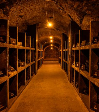 Visita a la bodega y cata Millésime