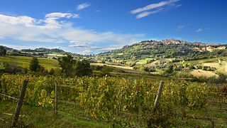 Dégustation de vins et visite à Salcheto