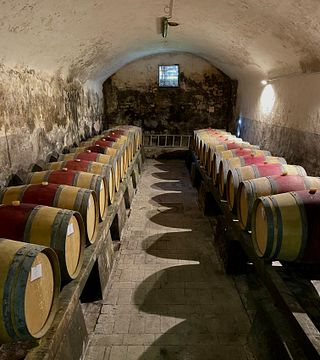 Degustação de Vinhos e Azeites