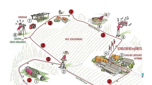 Wanderung durch die Schilcherweinwelt (1,1 km)