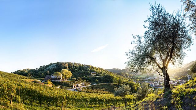 Vespaiolo Cellar Tour and Tasting in Contrà Soarda 