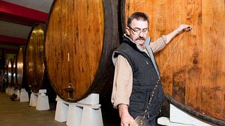 Degustação de vinhos e passeio em Sidras Bereziartua