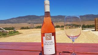 Seven Springs Vineyard