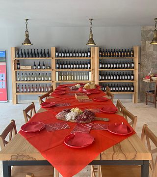 Visita de la Bodega con degustación de todos los Vinos acompañados de Platos