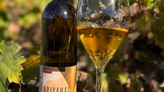 Tour, degustazione e pranzo gourmet di 3 portate