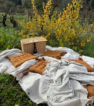 WINE PICNIC FOR TWO!