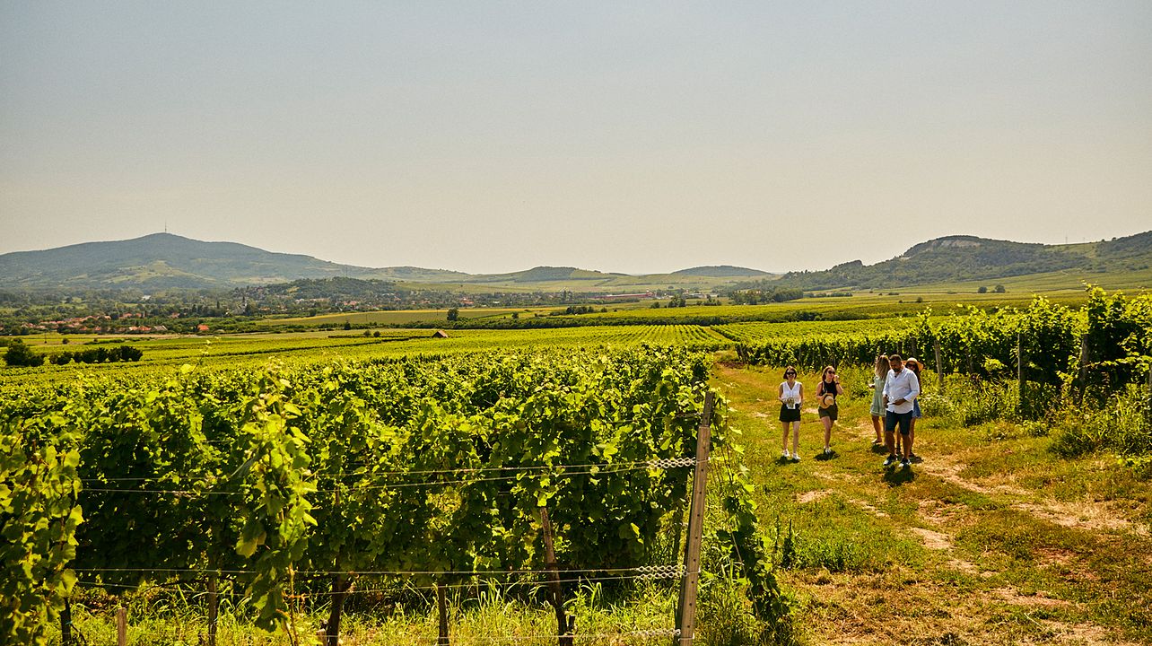 Patricius Tokaji Weinprobe und Picknick