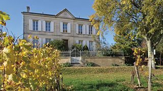 Degustação de vinhos e visita ao vinhedo do Château Haut Gaussens