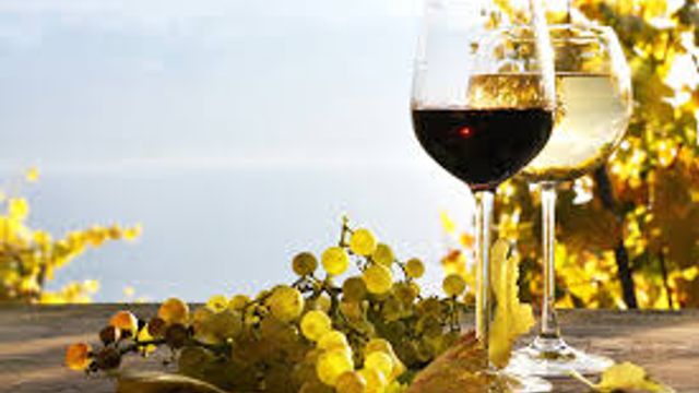 ¡Experiencia enológica en una bodega pre-filoxérica en la Costa Amalfitana!