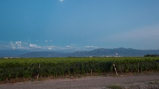 Lamadrid Estate Wines