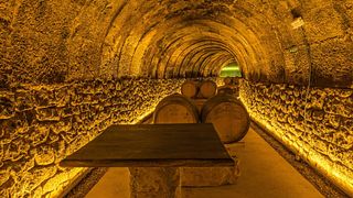 Degustação de vinhos populares nas Bodegas Tritium
