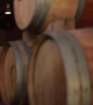 Visita y degustación en los viñedos de Arra