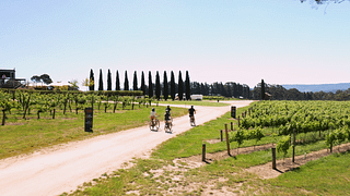 Tour enogastronomico in bici elettrica "Un assaggio di Hahndorf".