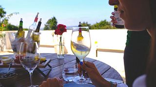 Jornada de Descoberta entre os Vinhos Lindeborg | Quinta da Folgorosa